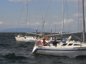 RIMG0064.jpg