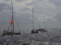 RIMG0078.jpg