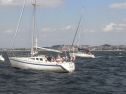 RIMG0099.jpg