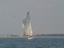 IMG_1279.jpg