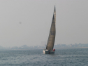 IMG_1287.jpg