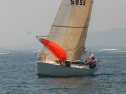 IMG_1291.jpg
