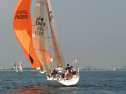 IMG_1305.jpg
