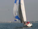 IMG_1306.jpg