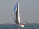 IMG_1307.jpg