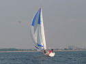 IMG_1311.jpg