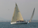 IMG_1315.jpg