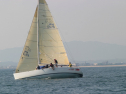IMG_1316.jpg
