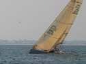 IMG_1318.jpg