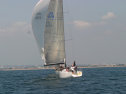 IMG_1323.jpg