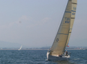 IMG_1332.jpg