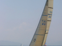 IMG_1333.jpg