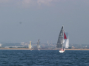 IMG_1334.jpg