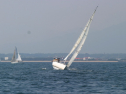 IMG_1335.jpg