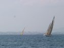 IMG_1343.jpg