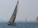 IMG_1344.jpg