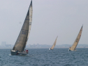IMG_1345.jpg