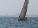 IMG_1346.jpg
