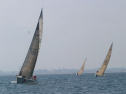 IMG_1347.jpg