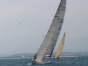 IMG_1350.jpg