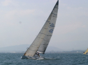 IMG_1351.jpg