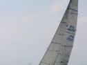 IMG_1353.jpg
