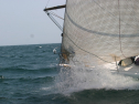 IMG_1356.jpg