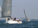 IMG_1364.jpg