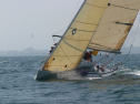 IMG_1365.jpg