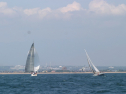IMG_1386.jpg