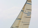 IMG_1401.jpg