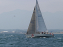 IMG_1414.jpg