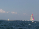 IMG_1416.jpg