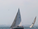 IMG_1417.jpg