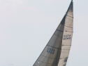IMG_1421.jpg