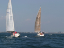 IMG_1430.jpg