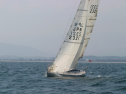 IMG_1432.jpg