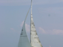 IMG_1440.jpg