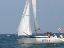 IMG_1441.jpg