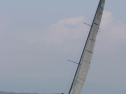 IMG_1444.jpg