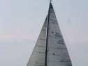 IMG_1448.jpg