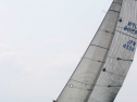 IMG_1451.jpg