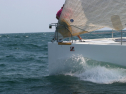 IMG_1454.jpg