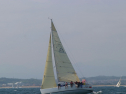 IMG_1461.jpg