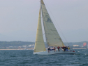 IMG_1462.jpg
