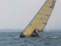 IMG_1468.jpg