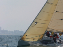 IMG_1469.jpg