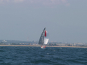 IMG_1496.jpg