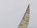 IMG_1498.jpg
