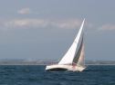 IMG_1505.jpg